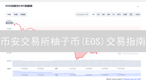 币安交易所柚子币(EOS)交易指南：详细步骤解析