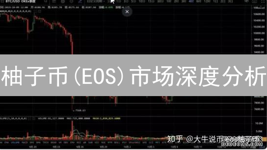 柚子币(EOS)市场深度分析：机遇、挑战与未来展望