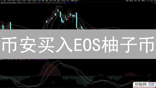 币安买入EOS柚子币：最佳时机与精明策略深度解析