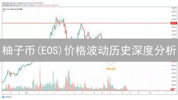 柚子币(EOS)价格波动历史深度分析：机遇与挑战并存