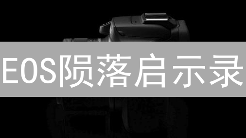 EOS陨落启示录：芝麻开门交易所的加密货币往事？