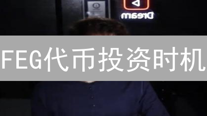 FEG代币投资时机：择时入场，步步为营策略分析