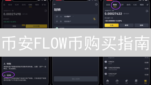 币安FLOW币购买指南：新手也能轻松上手，抓住投资机会！