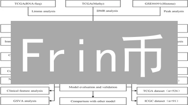 Frin币：未来数字足迹？技术创新与生态系统解析