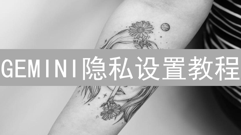 GEMINI隐私设置教程：全面保护您的信息与数据安全