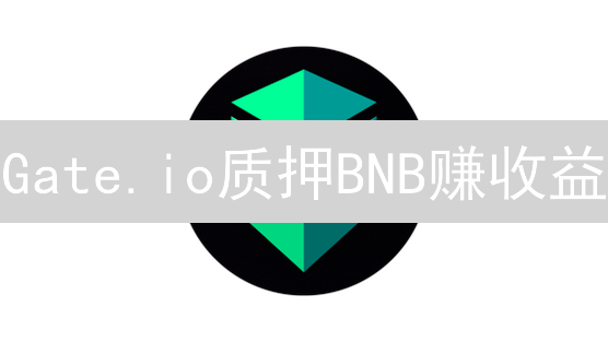 Gate.io质押BNB赚收益：详细购买与质押指南