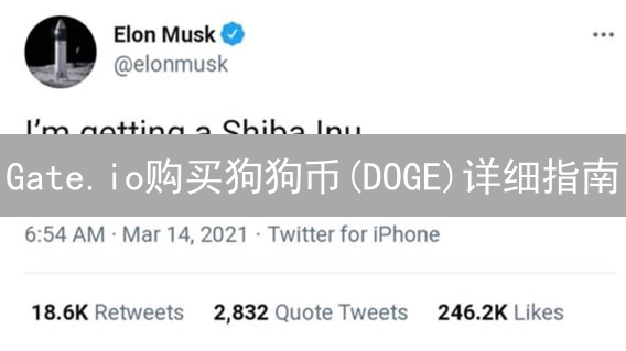 Gate.io购买狗狗币(DOGE)详细指南
