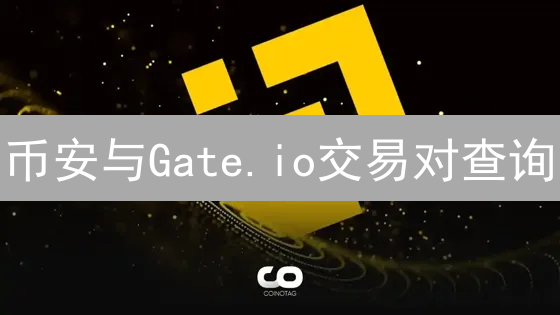 币安与Gate.io交易对查询：深度指南与技巧分享