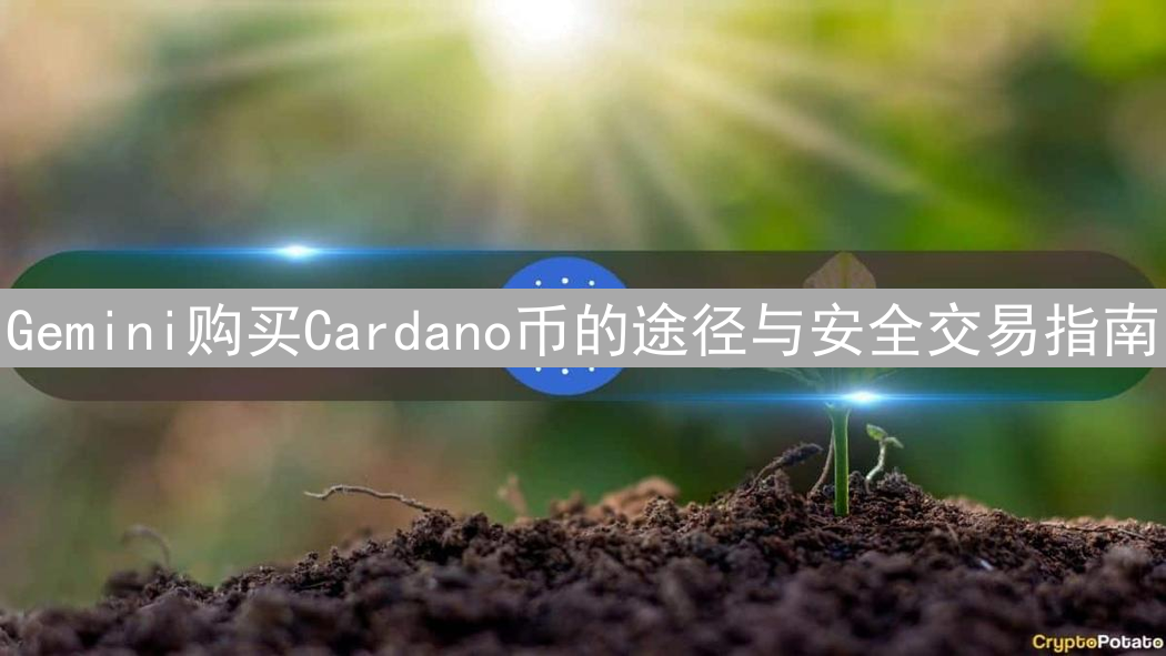 Gemini购买Cardano币的途径与安全交易指南