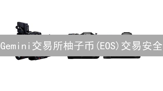 Gemini交易所柚子币(EOS)交易安全：全面考量与风险防范