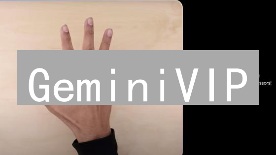 GeminiVIP：尊享定制化交易体验，助力数字资产投资