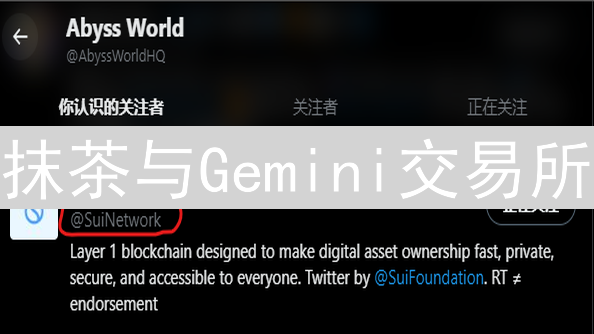 抹茶与Gemini交易所：市场分析方法的差异与应用策略
