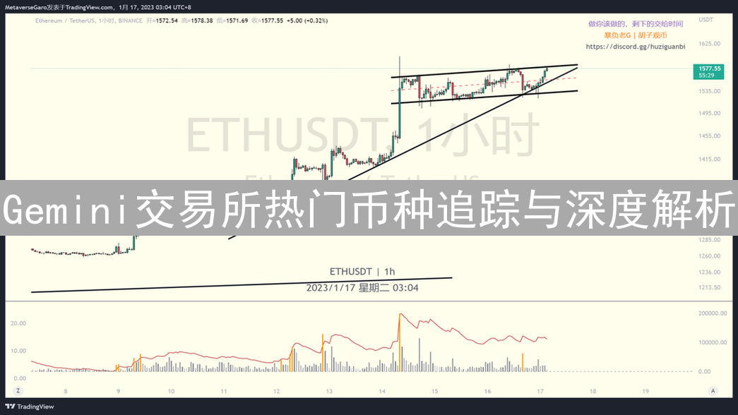 Gemini交易所热门币种追踪与深度解析：投资决策参考