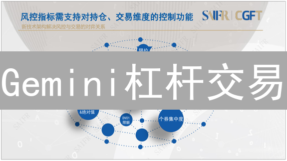 Gemini杠杆交易：风险管理与稳健策略