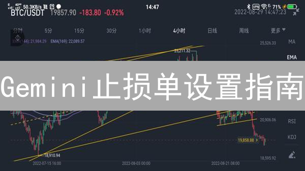 Gemini止损单设置指南：保护您的加密资产，有效管理风险