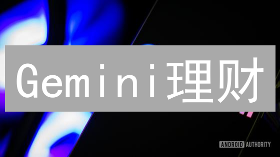 Gemini理财：长期加密货币投资策略与风险管理指南