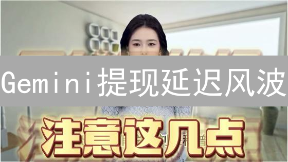 Gemini提现延迟风波：压力测试与信任危机分析