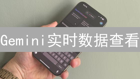 Gemini实时数据查看：掌握加密货币市场脉搏
