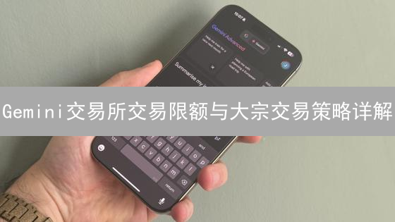 Gemini交易所交易限额与大宗交易策略详解