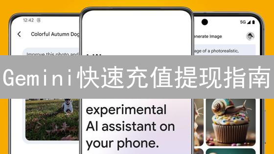 Gemini快速充值提现指南：安全便捷管理数字资产