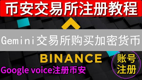 Gemini交易所购买加密货币？这份超详细指南来了！🚀