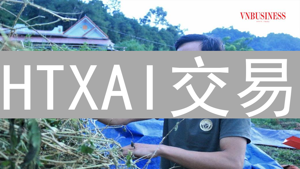 HTXAI交易：新手福音还是进阶挑战？风险与机遇并存