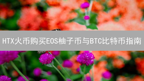HTX火币购买EOS柚子币与BTC比特币指南：入门到精通