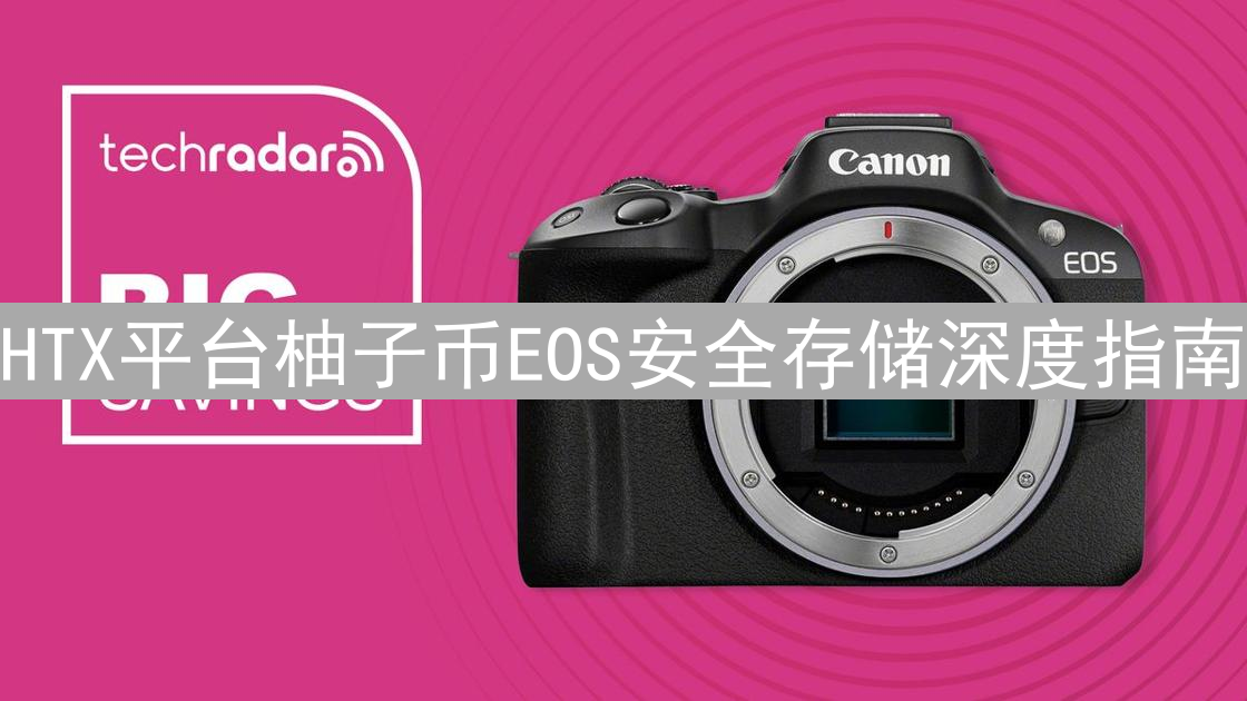 HTX平台柚子币EOS安全存储深度指南：策略与实践详解