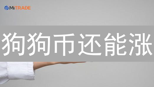 狗狗币还能涨？HTX平台新手OTC购买DOGE全攻略！