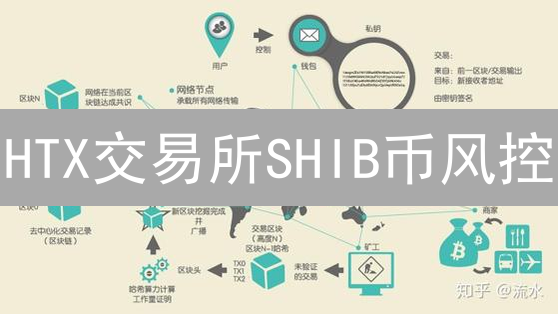 HTX交易所SHIB币风控：专业加密货币作家深度解析