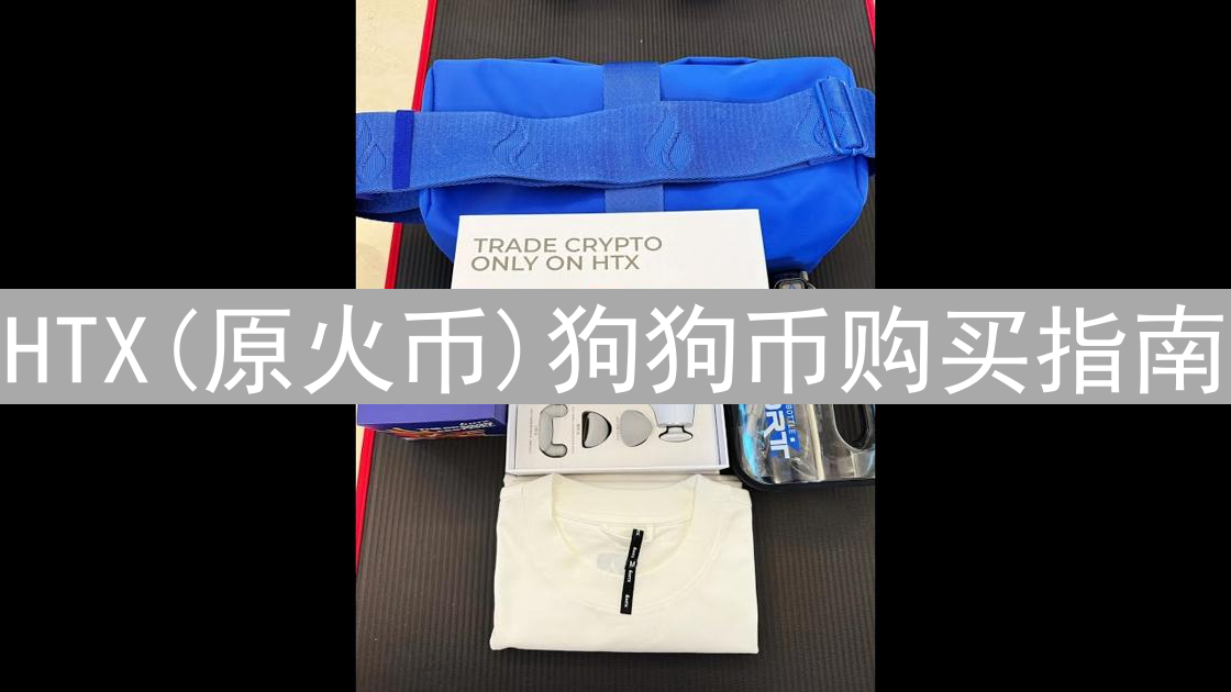 HTX(原火币)狗狗币购买指南：新手入门详细教程