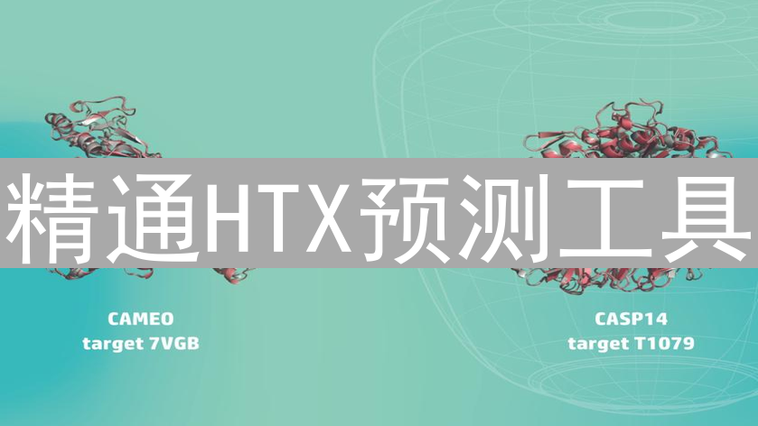 精通HTX预测工具：从入门到高级技巧深度解析