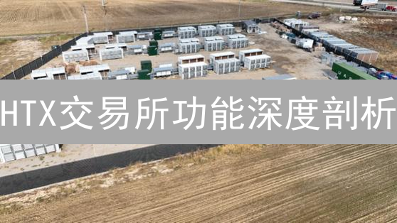 HTX交易所功能深度剖析：交易、合约与风险控制