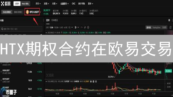 HTX期权合约在欧易交易：理论推演与可行性分析