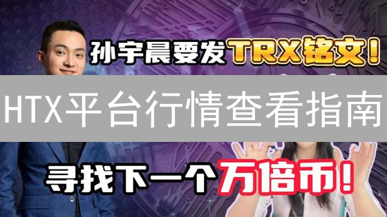 HTX平台行情查看指南：实时掌握市场动态