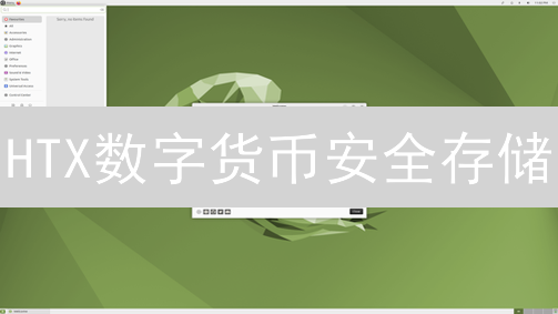 HTX数字货币安全存储：全面指南与注意事项