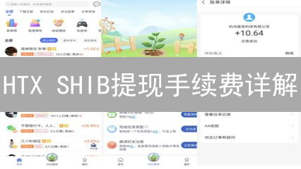 HTX SHIB提现手续费详解：影响因素与优化策略