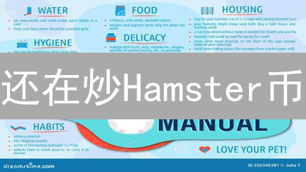 还在炒Hamster币？一文看懂风险！2024投资必看指南
