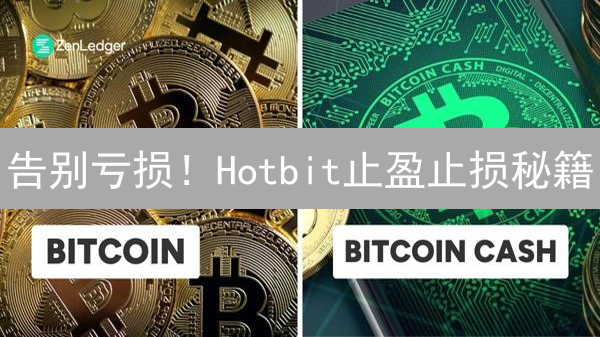 告别亏损！Hotbit止盈止损秘籍：新手也能轻松上手？