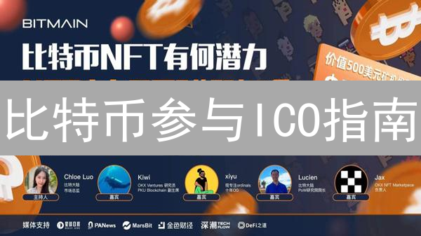 比特币参与ICO指南：关键步骤、风险评估与购买策略