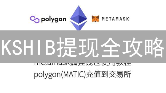 KSHIB提现全攻略：新手也能秒懂！避坑指南速看！