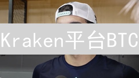 Kraken平台BTC/USD交易数据深入分析与波动性研究
