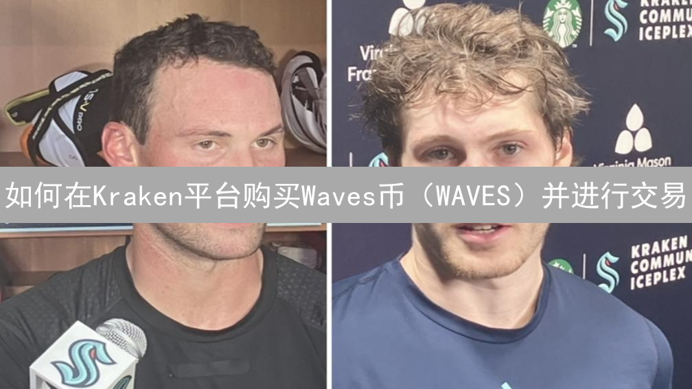 如何在Kraken平台购买Waves币（WAVES）并进行交易