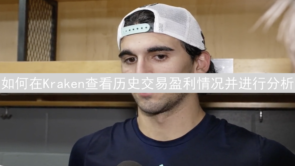 如何在Kraken查看历史交易盈利情况并进行分析