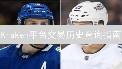 Kraken平台交易历史查询指南：详细步骤与技巧