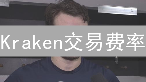 Kraken交易费率：深度分析与交易策略指南