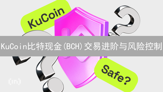 KuCoin比特现金(BCH)交易进阶与风险控制