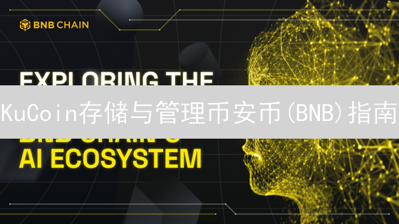 KuCoin存储与管理币安币(BNB)指南：安全高效策略