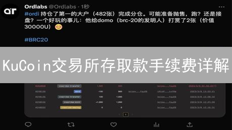 KuCoin交易所存取款手续费详解：成本与优化策略