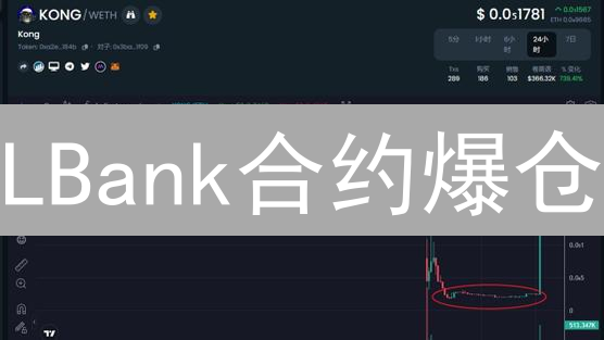 LBank合约爆仓？掌握这几点，告别血本无归！
